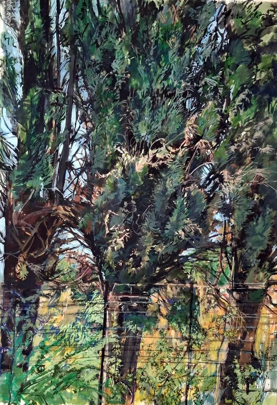 Blue gum trees under hard midday light, gouache and ink.